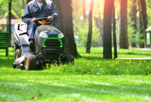 lawn care